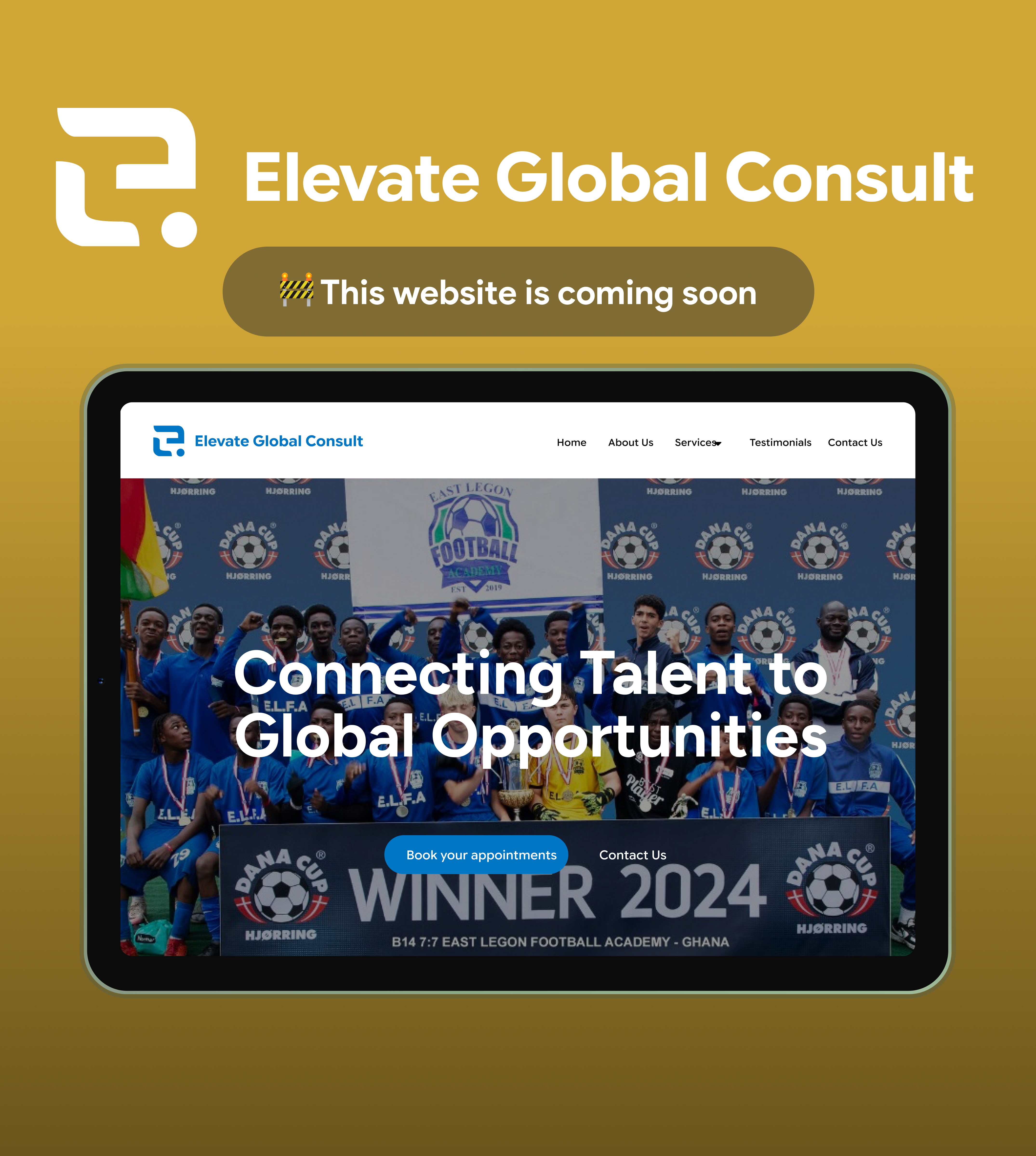 Elevate Global Consult